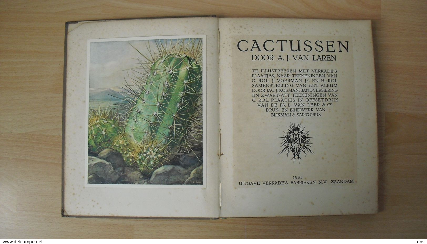 Cactussen, Verkade's Plaatjesalbum 1931 - Anciens