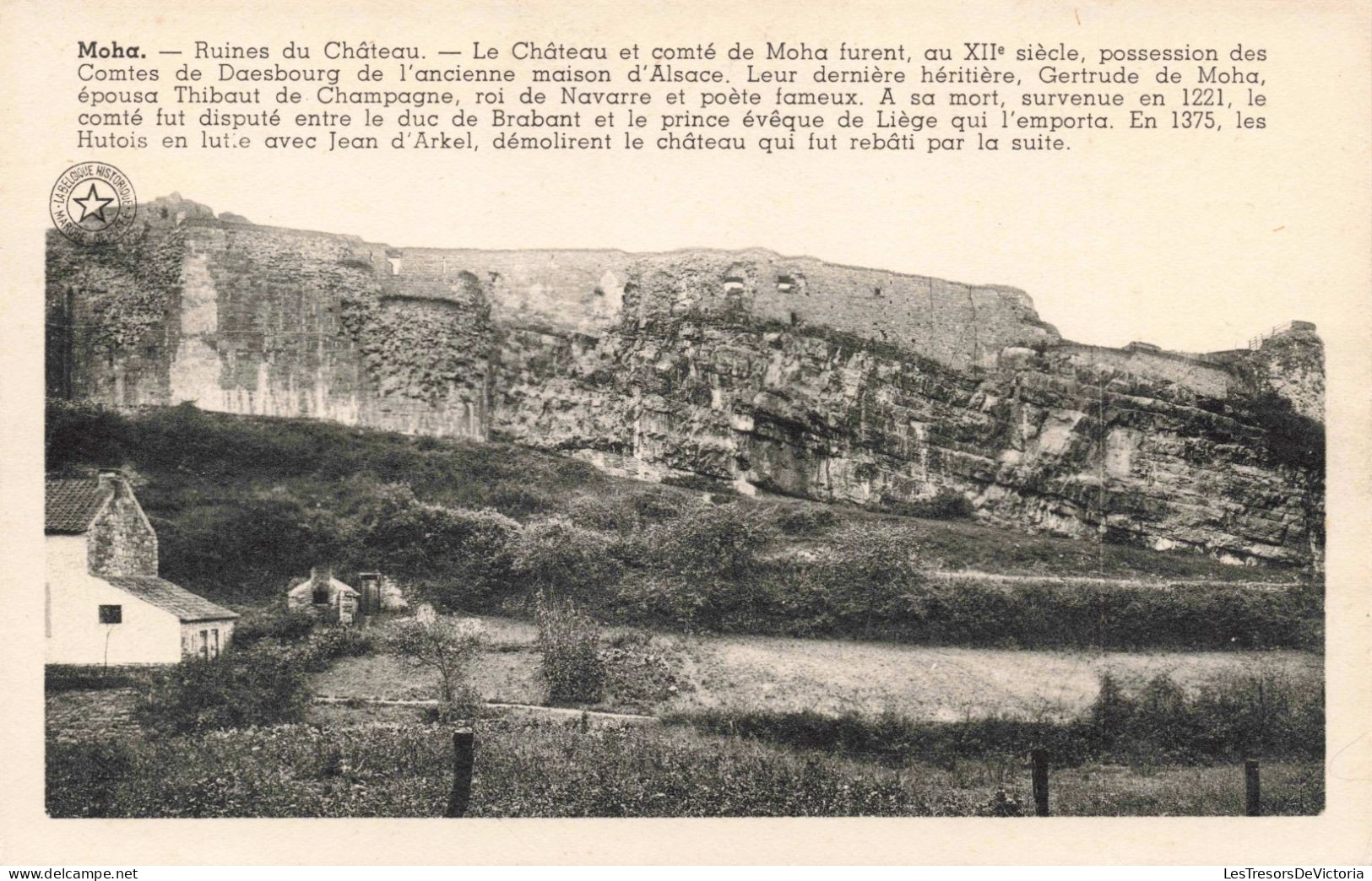 BELGIQUE - Moha - Ruines Du Château - Carte Postale Ancienne - Wanze