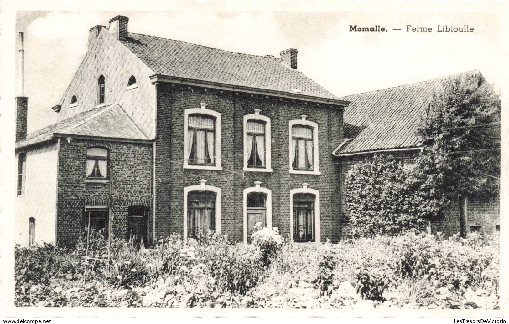 BELGIQUE - Momalle - Ferme Libioulle - Carte Postale Ancienne - Remicourt