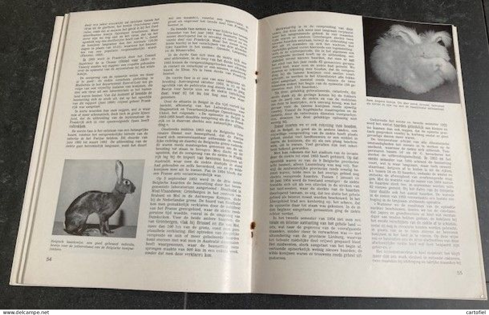 ZOO-ANTWERPEN-MAGAZINE-1968-SPECIAAL-125 JARIG BESTAAN-JUBULEUMNUMMER+ZOOLOGISCHE INVENTARIS-ALS NIEUW-ZIE 8 FOTOS