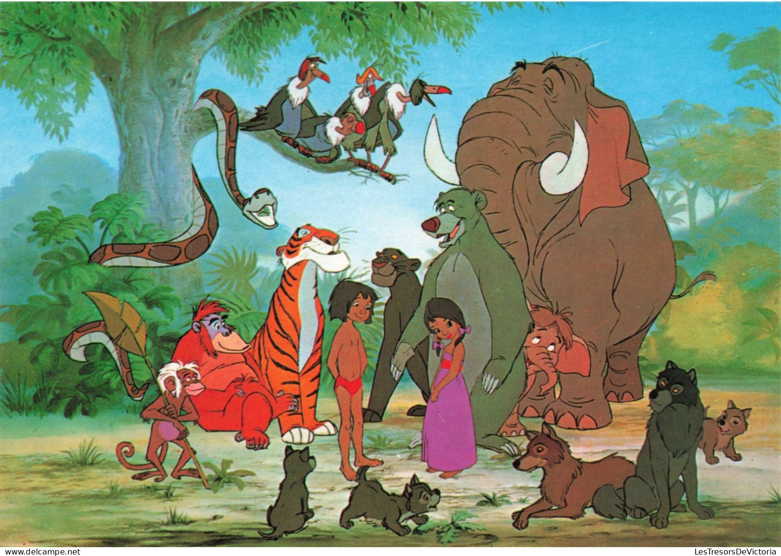 DISNEY - Disneyworld - Le Livre De La Jungle - Carte Postale - Disneyworld