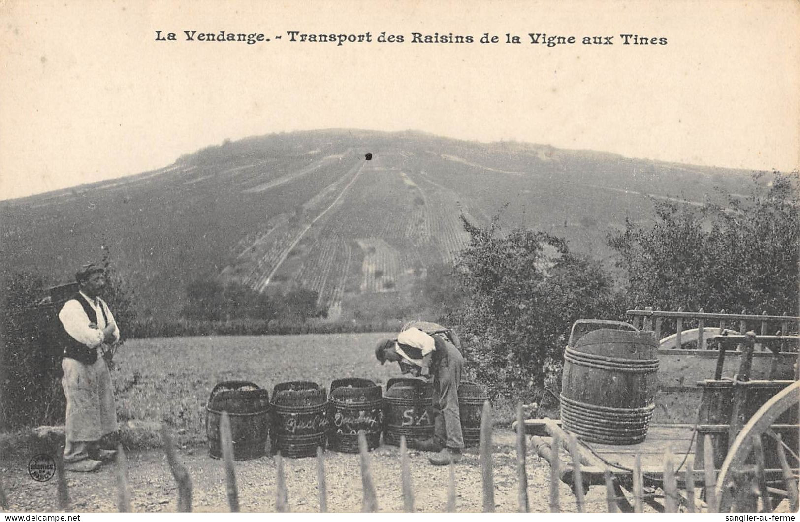 CPA 08 CHER / LA VENDANGE / TRANSPORT DES RAISINS DE LA VIGNE AUX TINES - Other & Unclassified