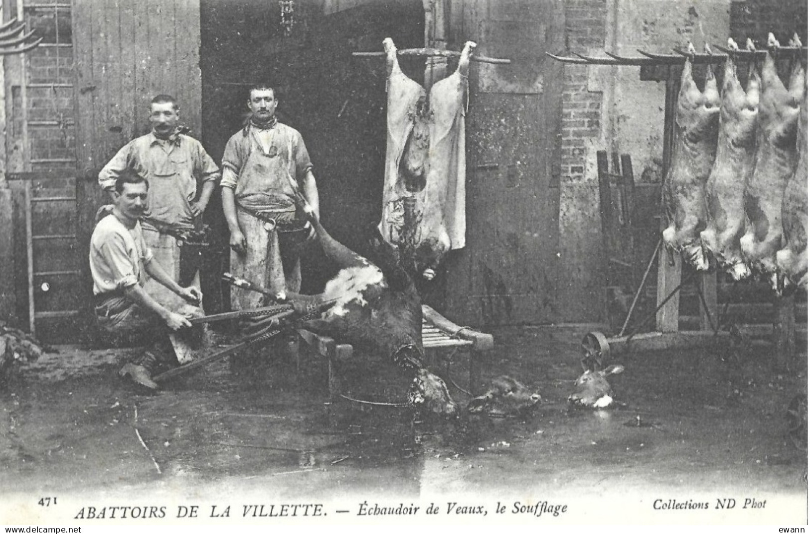 CPA - Abattoirs De La Villette (Paris)- Echaudoir De Veaux, Le Soufflage - Markthallen