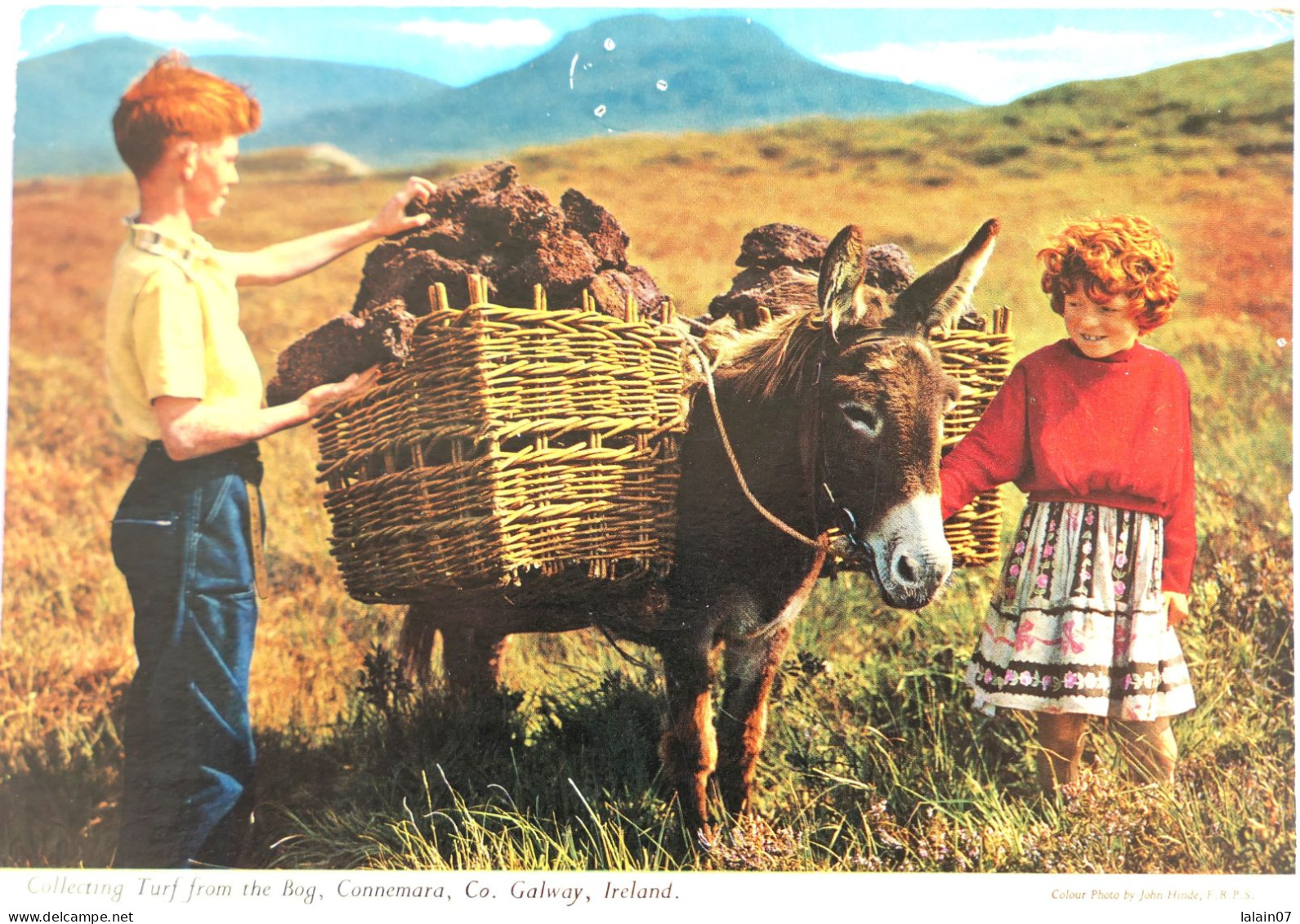 Carte Postale : Irlande : Collecting Turf From The Bog, CONNEMARA, Co. Galway - Autres & Non Classés