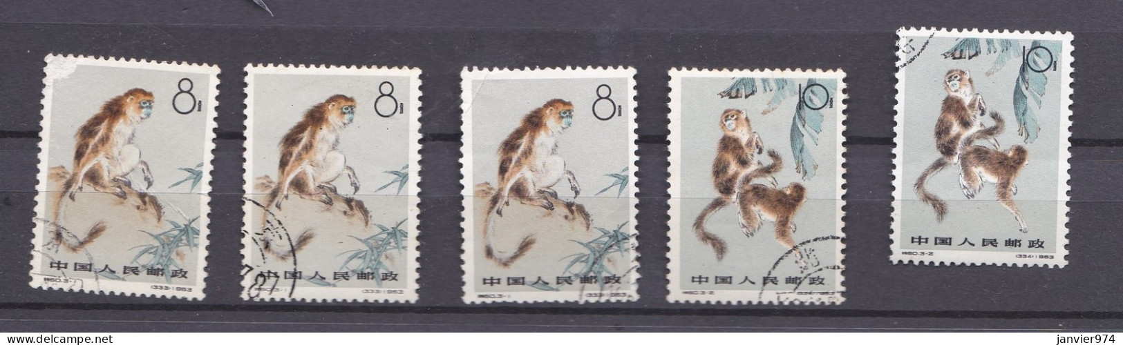 Chine 1963, Monkeys Singe. 5 Timbres  - Gebruikt