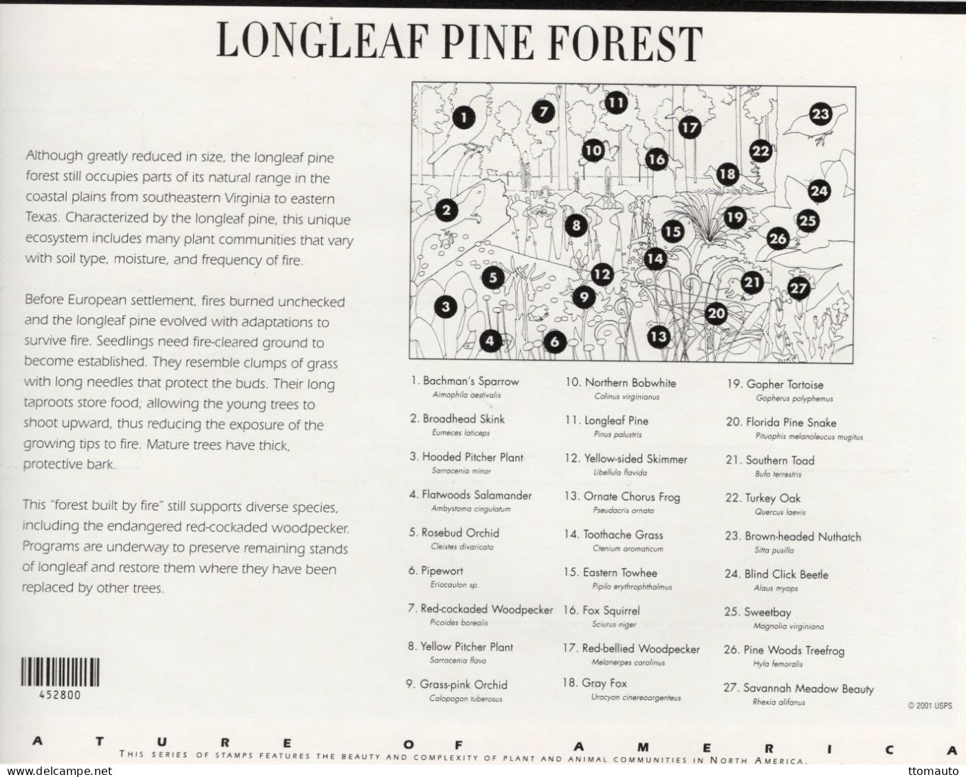 USA 2002 -  Nature Of America - Longleaf Pine Forest - Large 10v  Sheet (17x23cms) - MNH/Mint/New - Cernícalo
