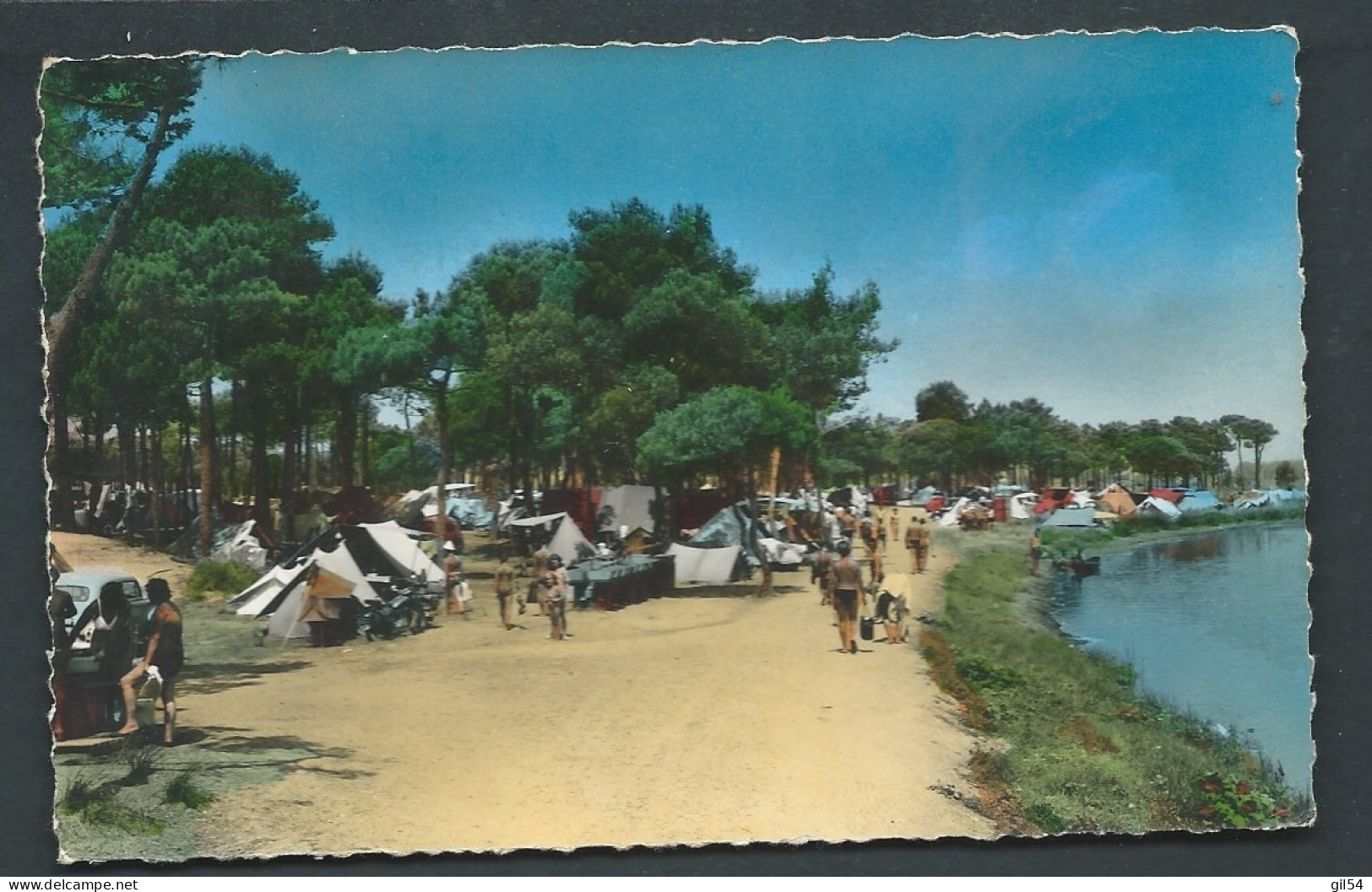 Saint Aygulf ( Var ) - Le Camping - Zbn85 - Saint-Aygulf