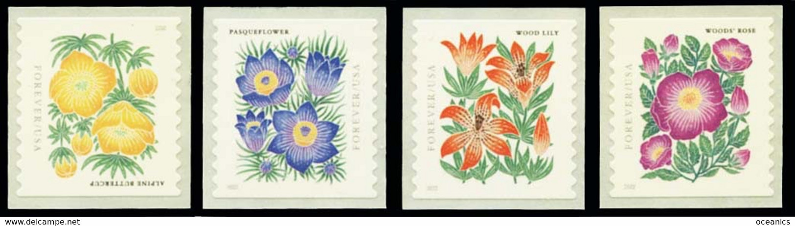 Etats-Unis / United States (Scott No.5672-75 - Mountain Flora) [**] MHN Set Of Coil - Unused Stamps