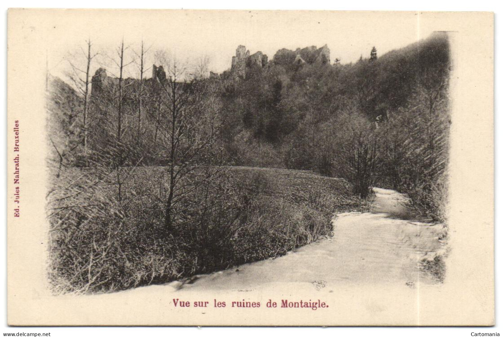 Vue Sur Les Ruines De Montaigle - Onhaye