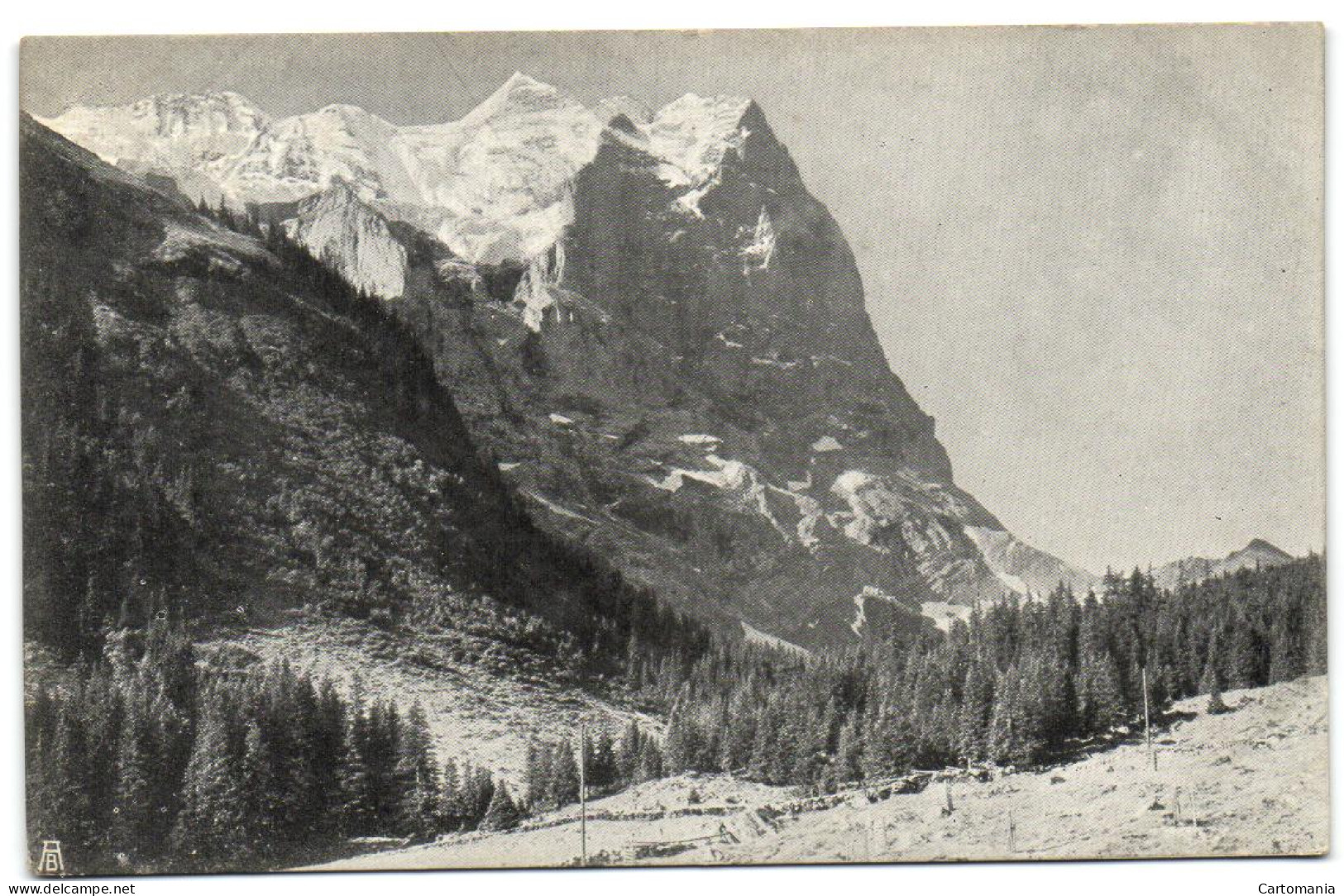 Wetterhorn Vom Kurhaus Schwarzwaldalp Aus - Wald