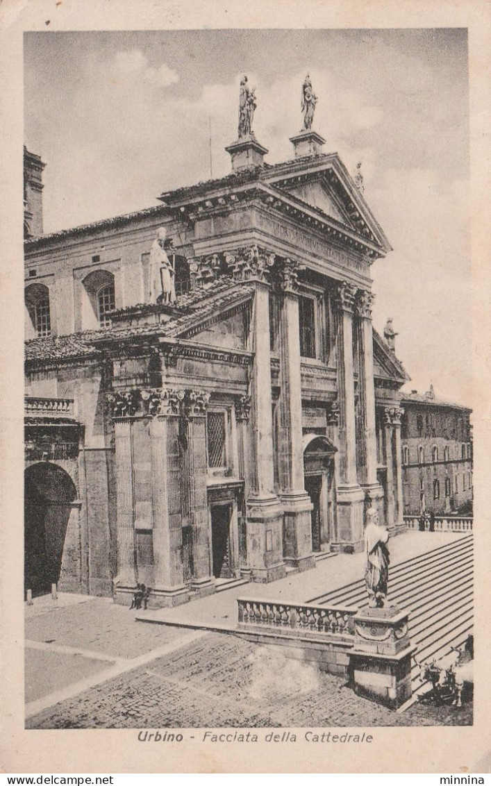 Urbino - Facciata Della Cattedrale - Urbino