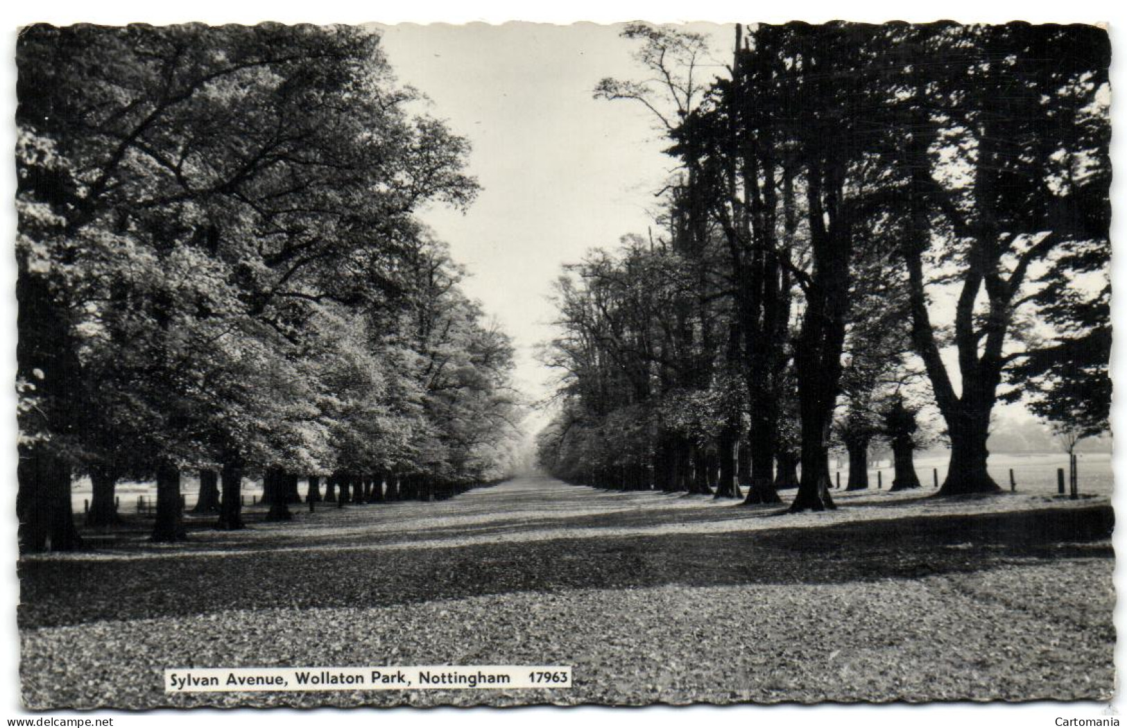 Sylvan Avenue - Wollaton Park - Nottingham - Nottingham