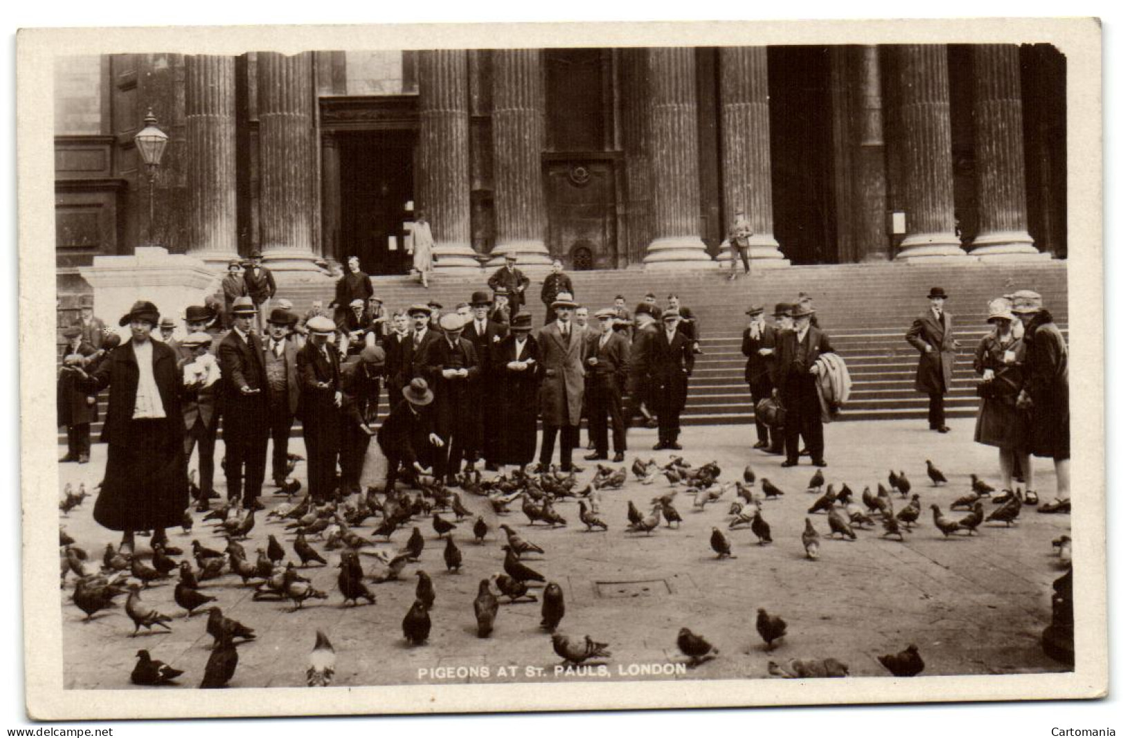 Pigeons At St. Paul's - London - St. Paul's Cathedral