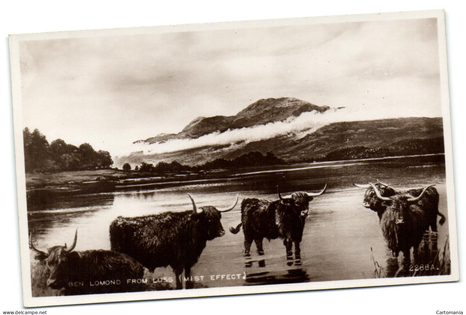 Ben Lomond From Luss (Mist Effect) - Dunbartonshire