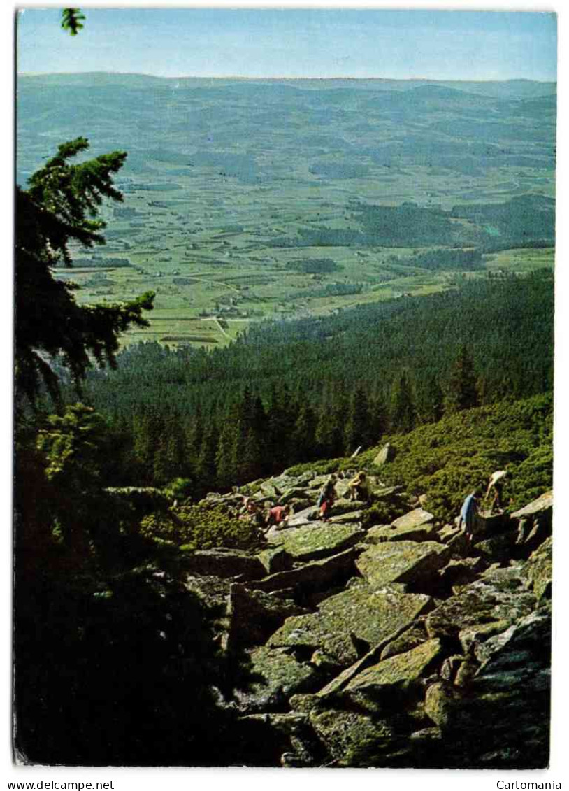 Dreisessel - Bayer. Wald - Blick Vom Steinernen Meer - Freyung