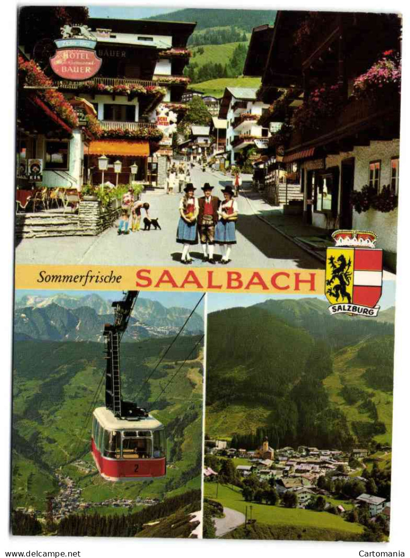 Sommerfrische - Saalbach - Saalbach