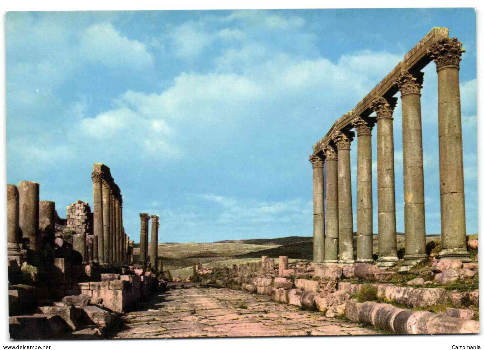 Street Of The Colums - Jerash - Jordanie