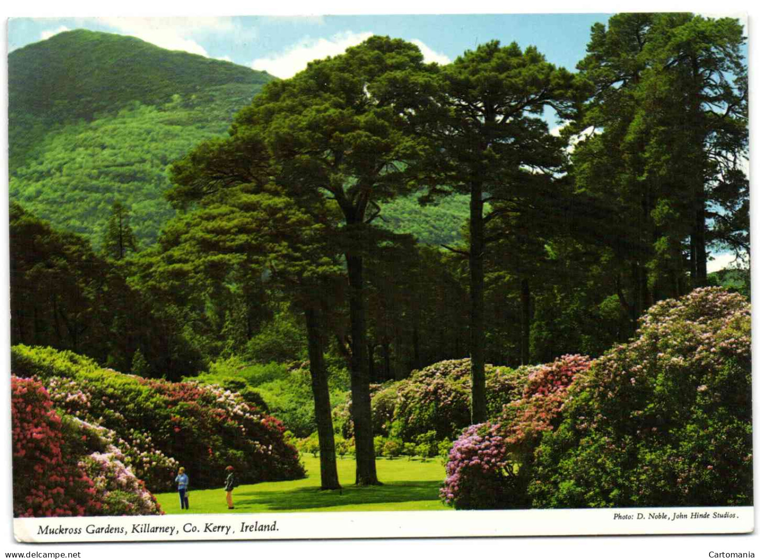 Muckross Gerdens - Killarney - Co. Kerry - Ireland - Kerry