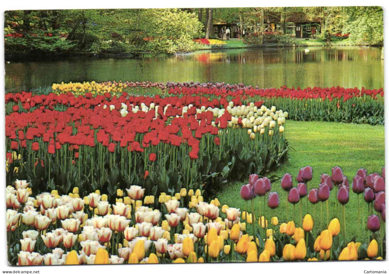 Keukenhof - Lisse-Holland - Lisse