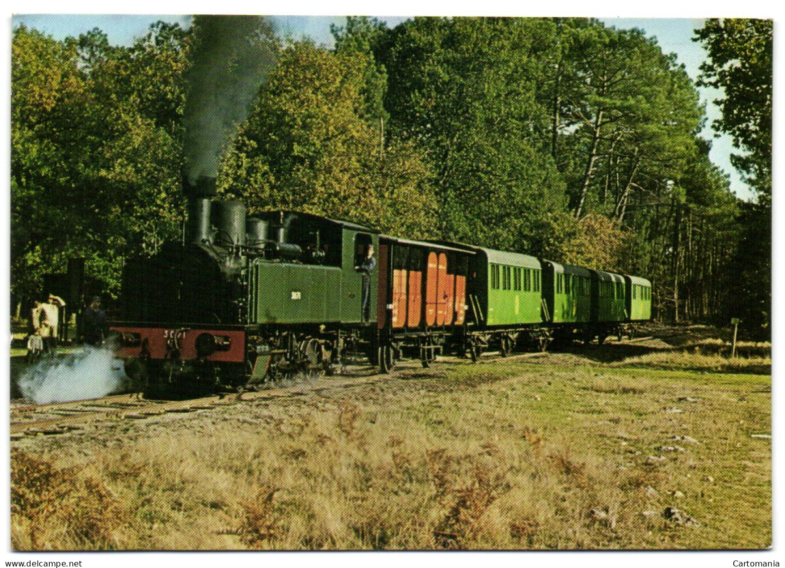 Sabres - Parc Naturel Regional Des Landes De Gascogne - Train De Marquèze - Locomotive Corpet-Louvet 1932 - Sabres