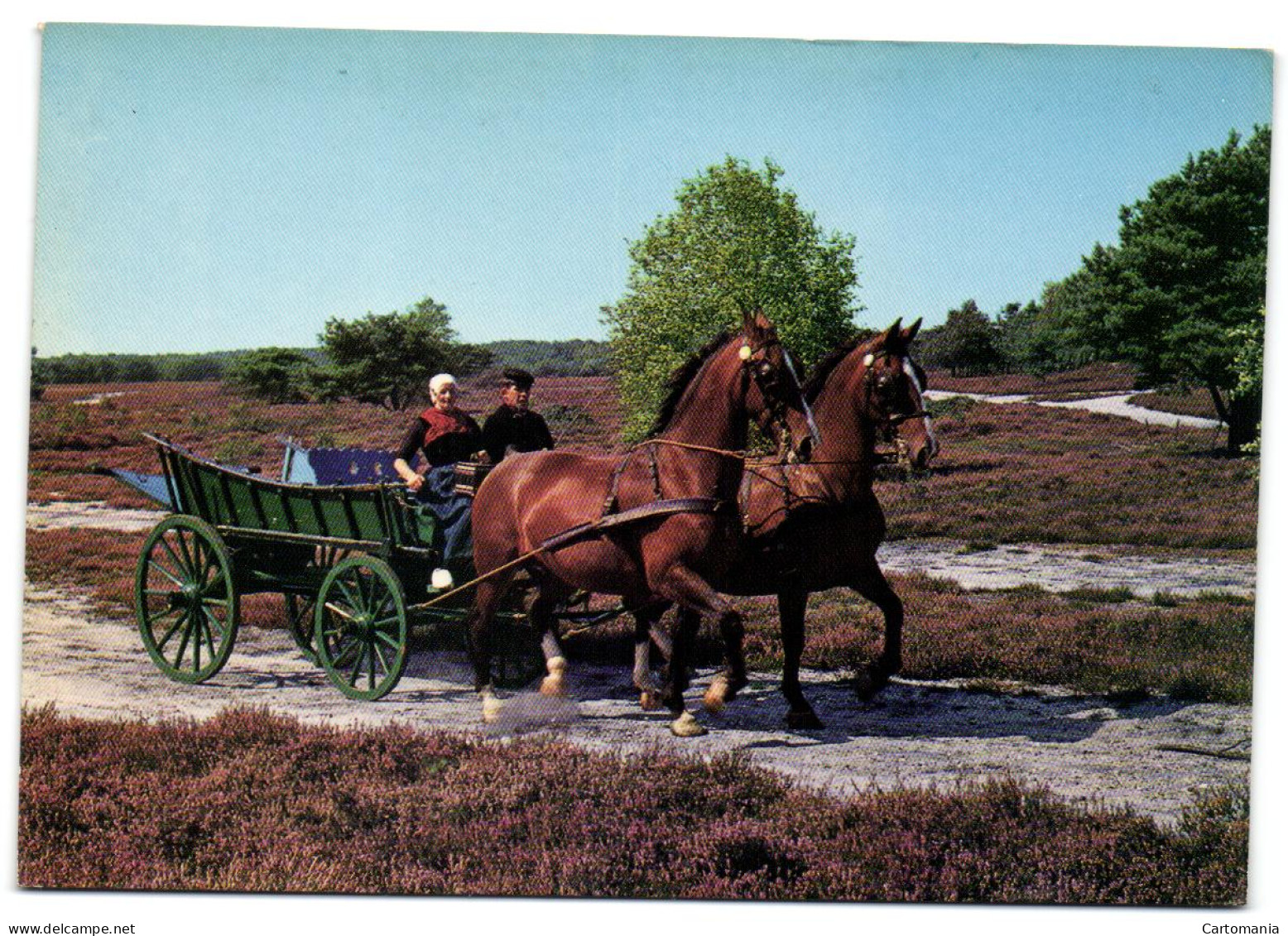 Groeten Uit Nunspeet - Nunspeet