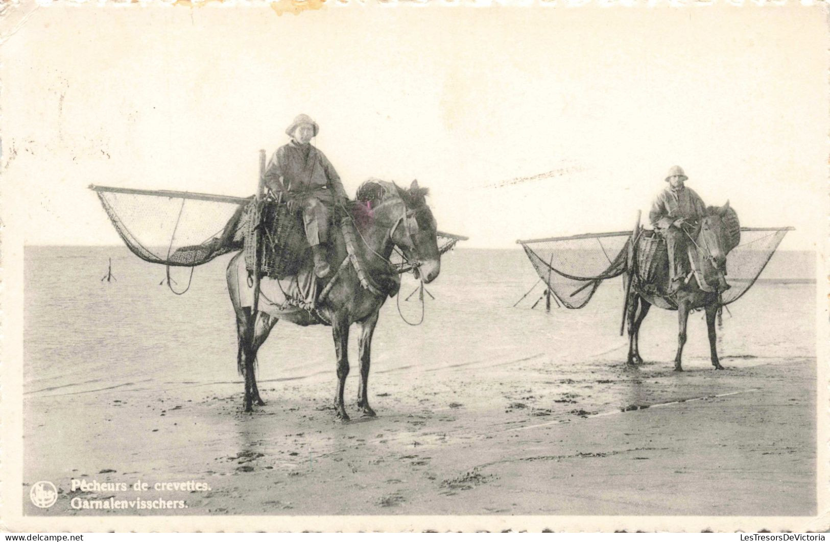 METIERS - Pêcheurs De Crevettes - Chevaux - Plage - La Panne - Carte Postale Ancienne - Visvangst