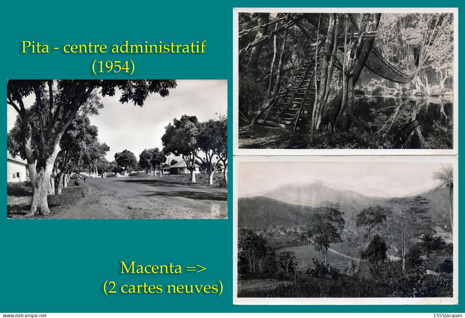 GUINÉE FRANÇAISE / PITA (1954)  / MACENTA / 3 CPA DES ANNÉES 1950 - Guinée Française