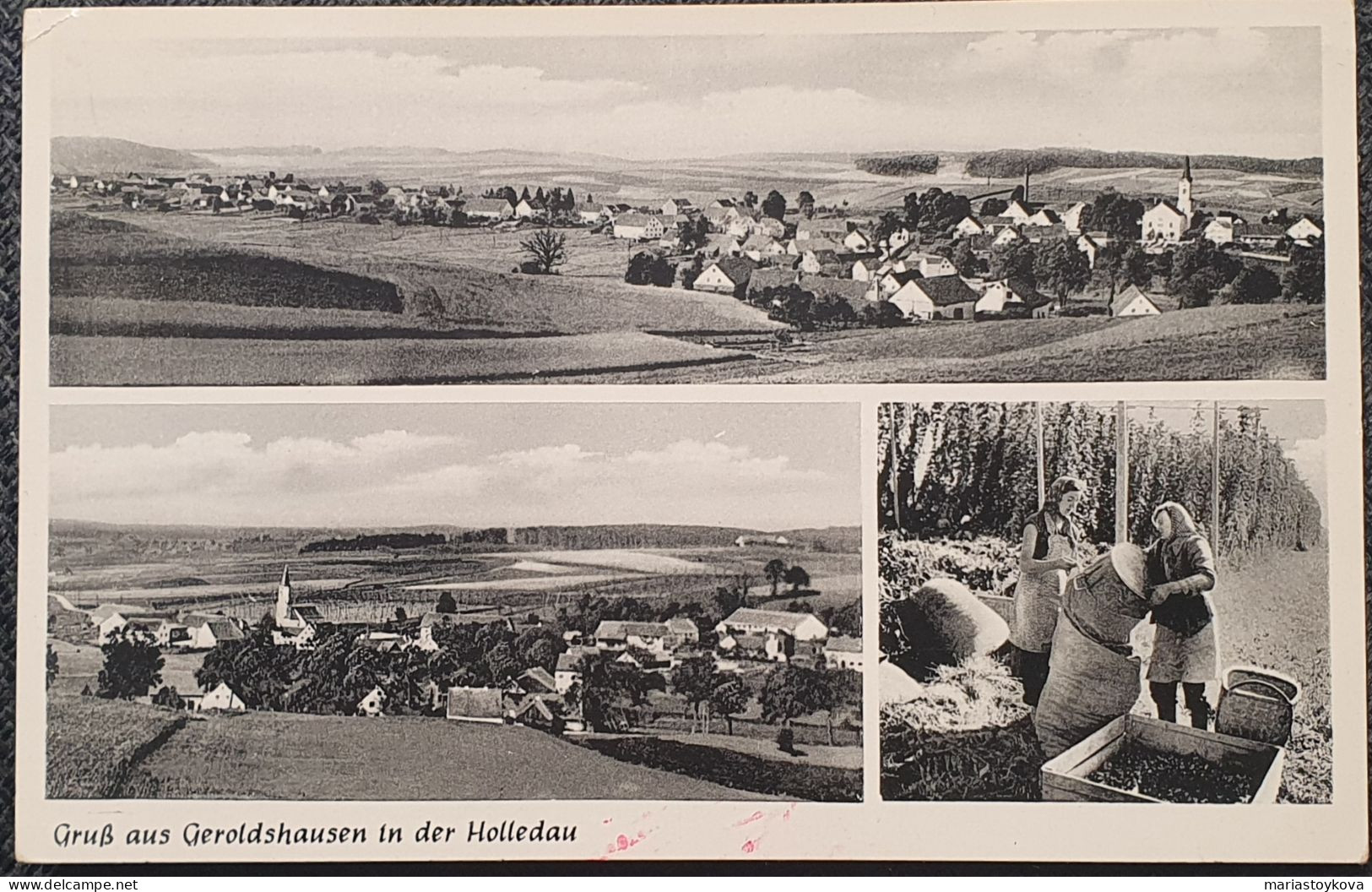 1955. Geroldshausen In Der Holledau. - Pfaffenhofen