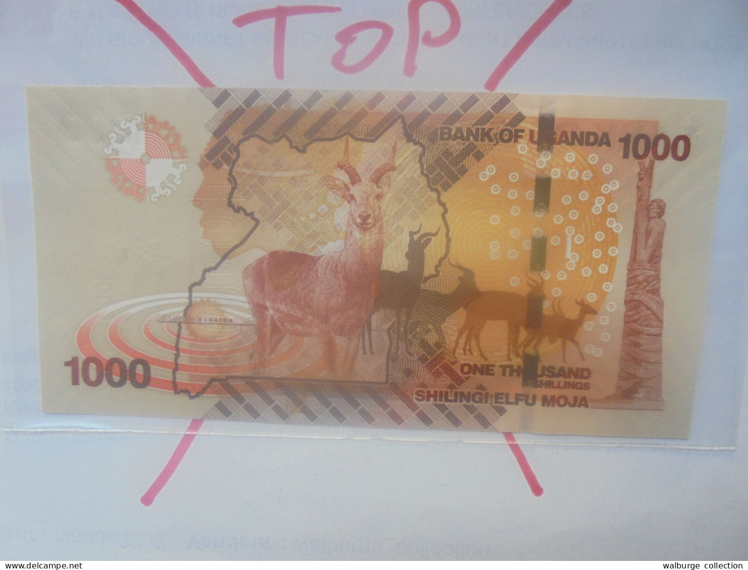 OUGANDA 1000 SHILLINGS 2017 Neuf - Uganda