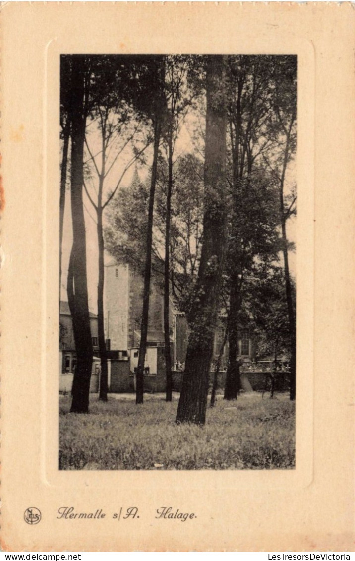 BELGIQUE - Oupeye - Hermalle Sous Argenteau - Carte Postale Ancienne - Oupeye