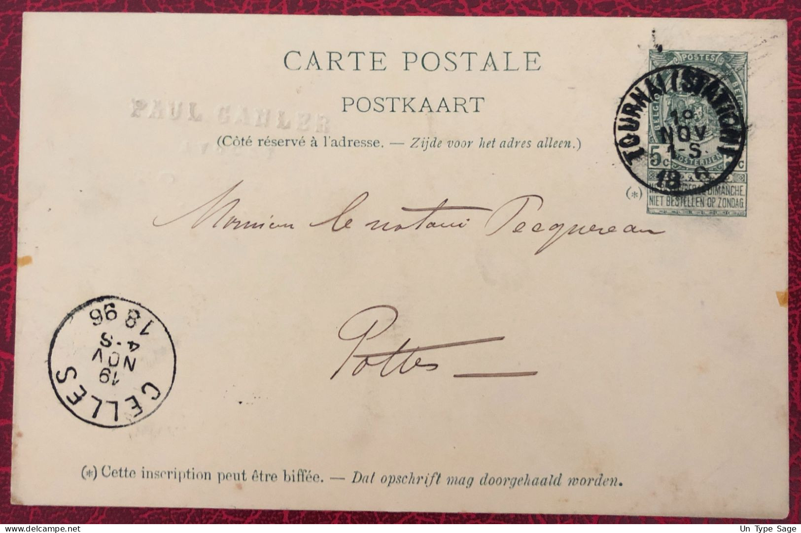 Belgique Entier-Carte, Cachet Tournai 18.11.1896 - (C333) - Autres & Non Classés