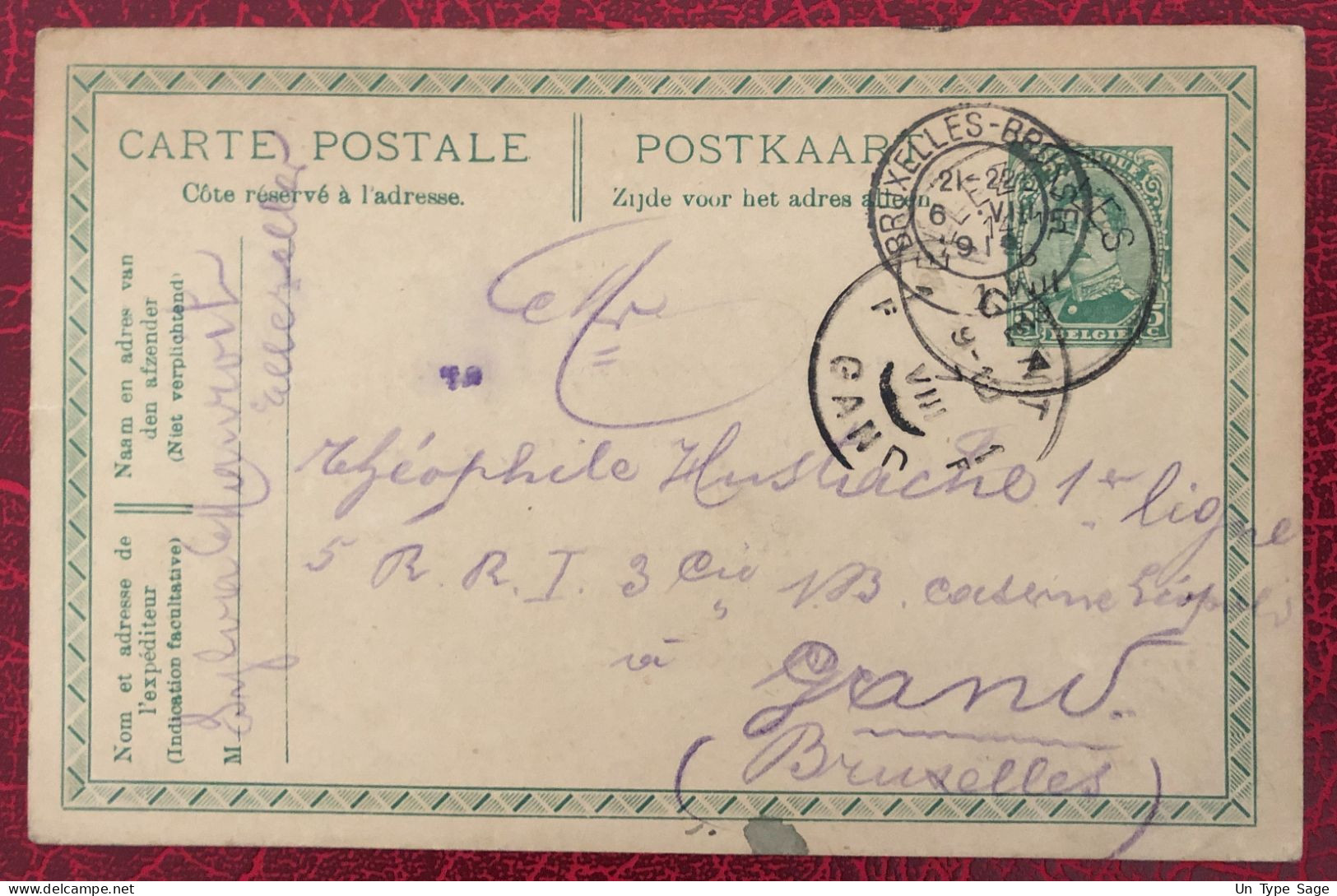 Belgique Entier-Carte, Cachet Ellezelles 6.8.1919 - (C338) - Sonstige & Ohne Zuordnung