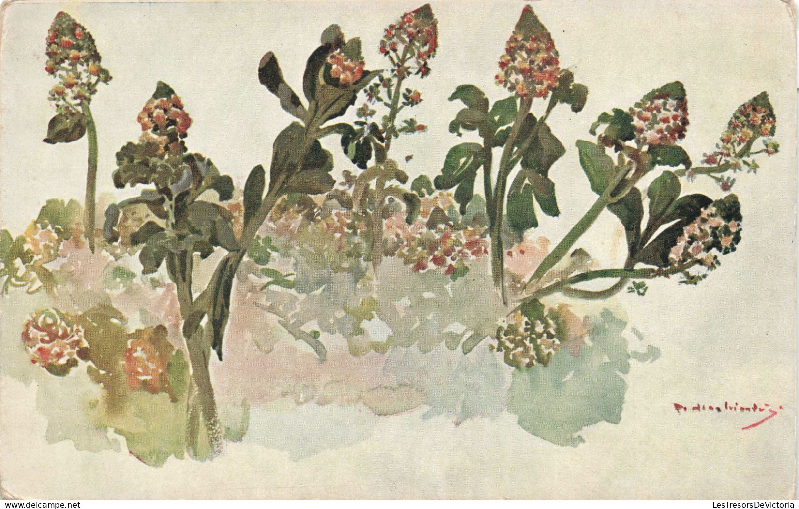 FLEURS, PLANTES, ARBRES - Fleurs - Colorisé - Carte Postale Ancienne - Flores