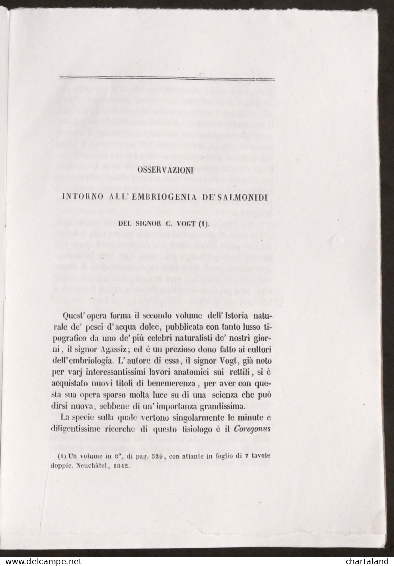 Ittiologia - C. Vogt - Osservazioni Intorno All'embriogenia De' Salmonidi - 1842 - Altri & Non Classificati