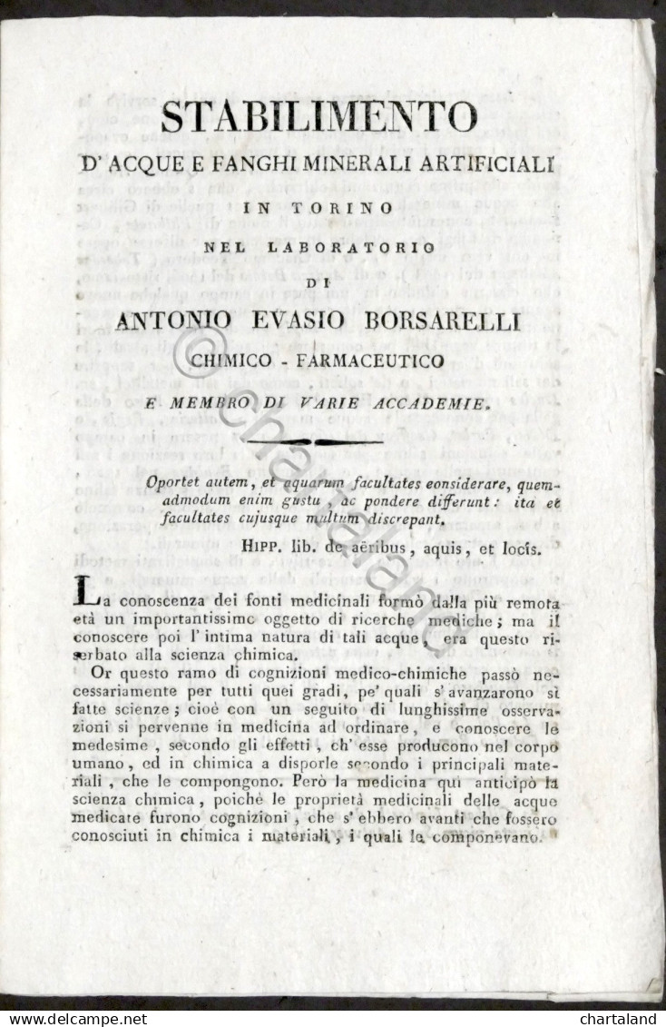 Stabilimento Acque E Fanghi Artificiali In Torino Laboratorio Borsarelli 1800 Ca - Altri & Non Classificati