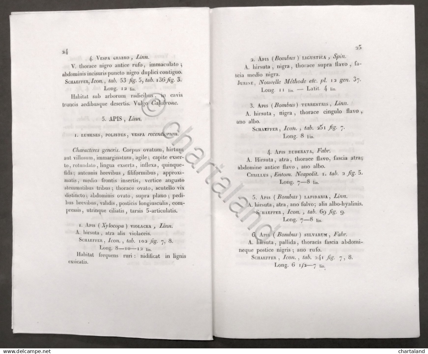 Zendrini - De Insectis Venenatis Agri Ticinensis Dissertazione Laurea Pavia 1832 - Altri & Non Classificati