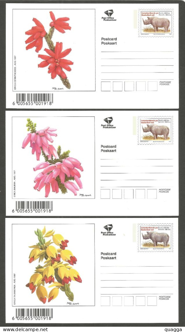 South Africa 1997. 3x Erica / Rhino Postcards. - Covers & Documents