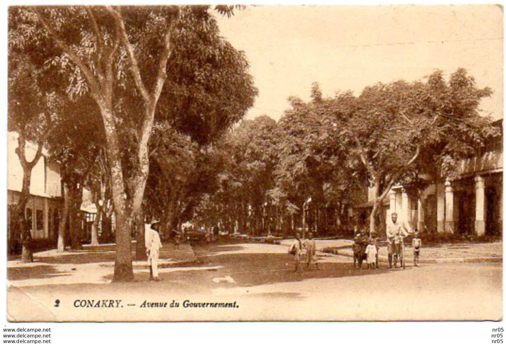 CONAKRY - Avenue Du Gouvernement   ( GUINEE FRANCAISE ( Afrique Occidentale Francaise ) - Guinée Française