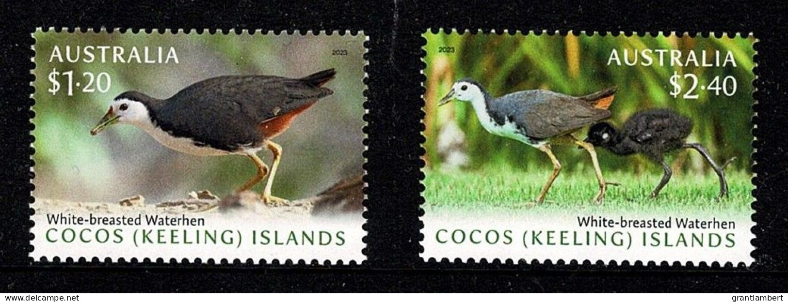 Cocos Islands 2023 CKI Waterhens  Set Of 2 MNH - Cocos (Keeling) Islands