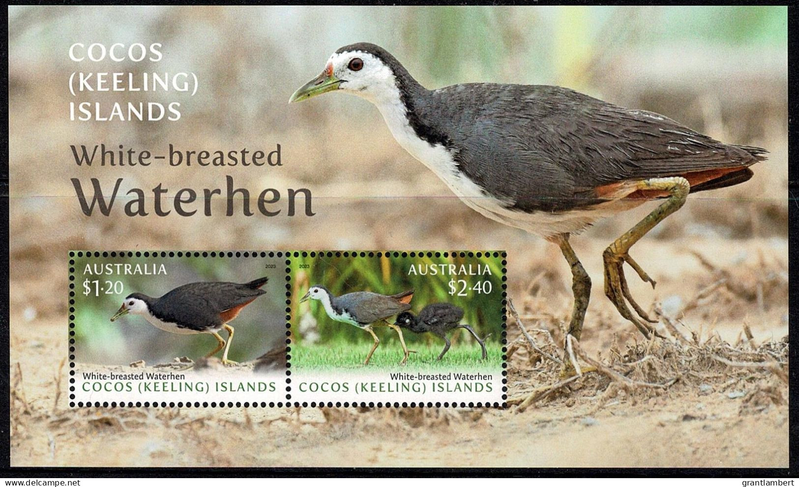 Cocos Islands 2023 CKI Waterhens  Minisheet MNH - Cocos (Keeling) Islands