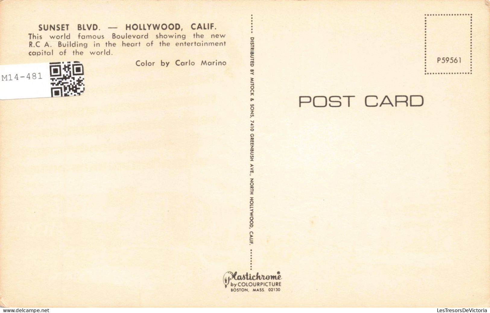 ETATS UNIS - California - Sunset Boulevard - Hollywood  - Colorisé - Carte Postale - Sonstige & Ohne Zuordnung
