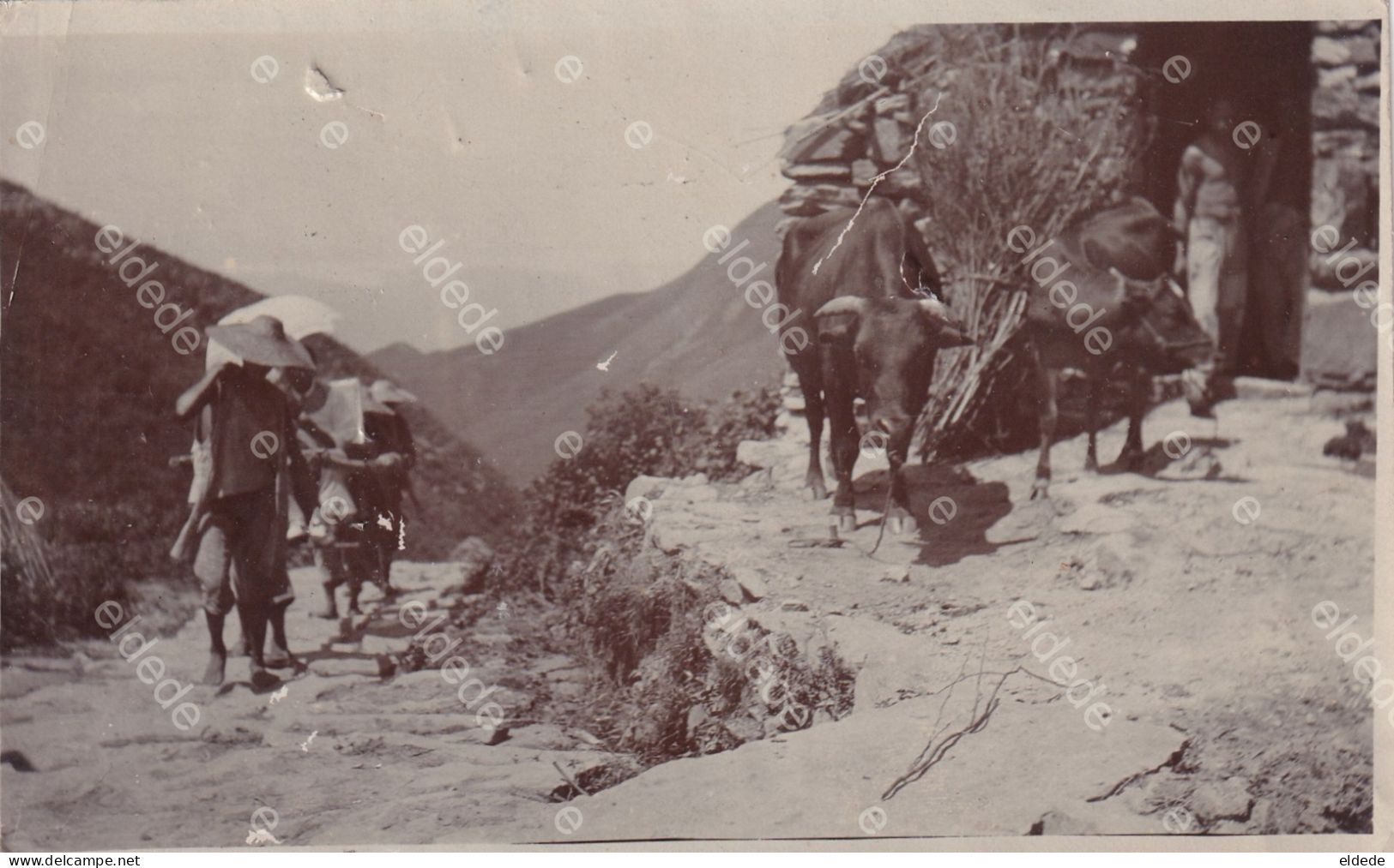 3 Real Photo Tibet ?  Western Lady In A Sedan Chair Climbing A Steepy Stair  Native Woman Etc - Tibet