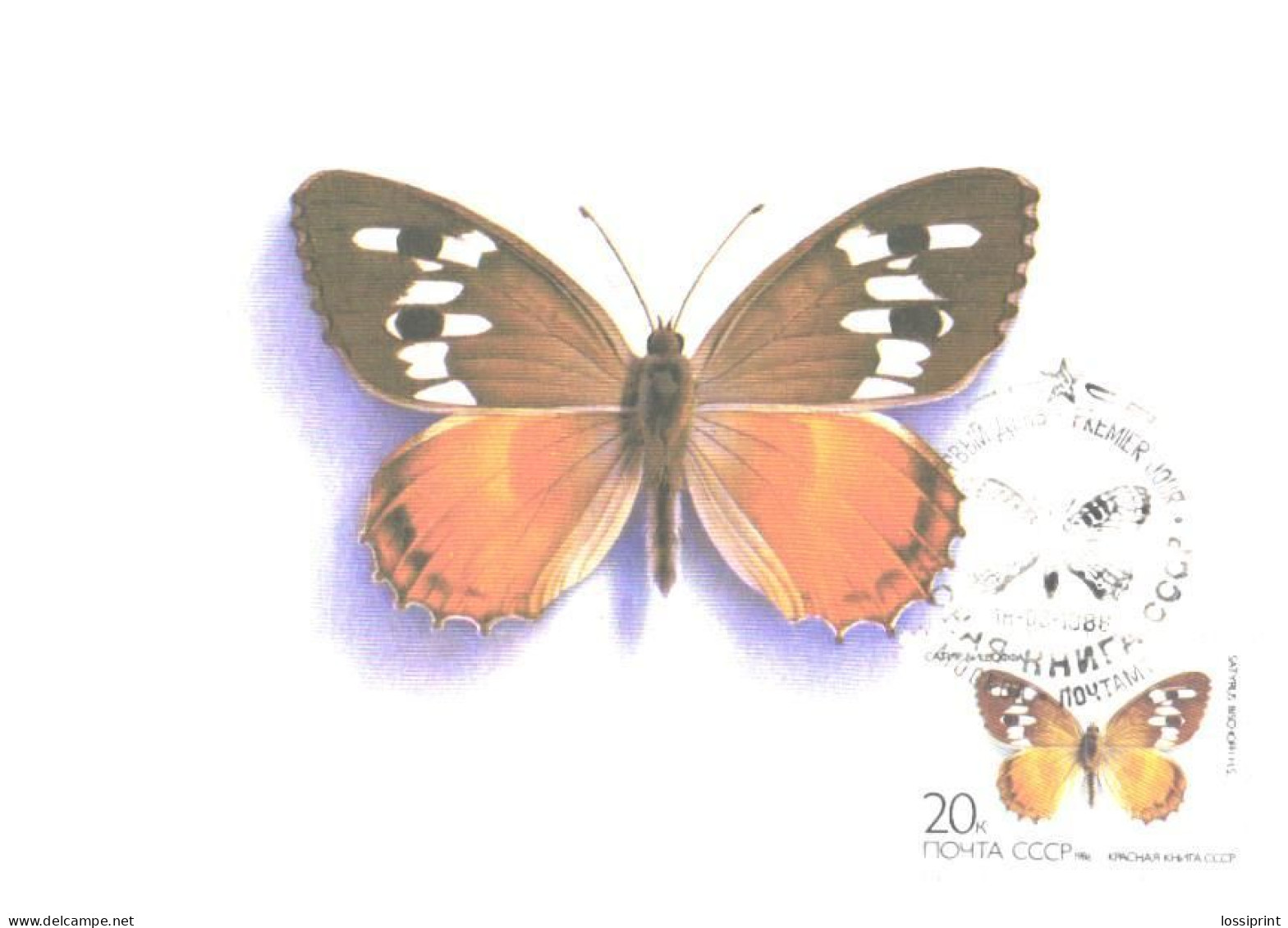 Soviet Union:USSR:Russia:Maxi Card, Butterfly, Satyrus Bischoffi, 1986 - Papillons