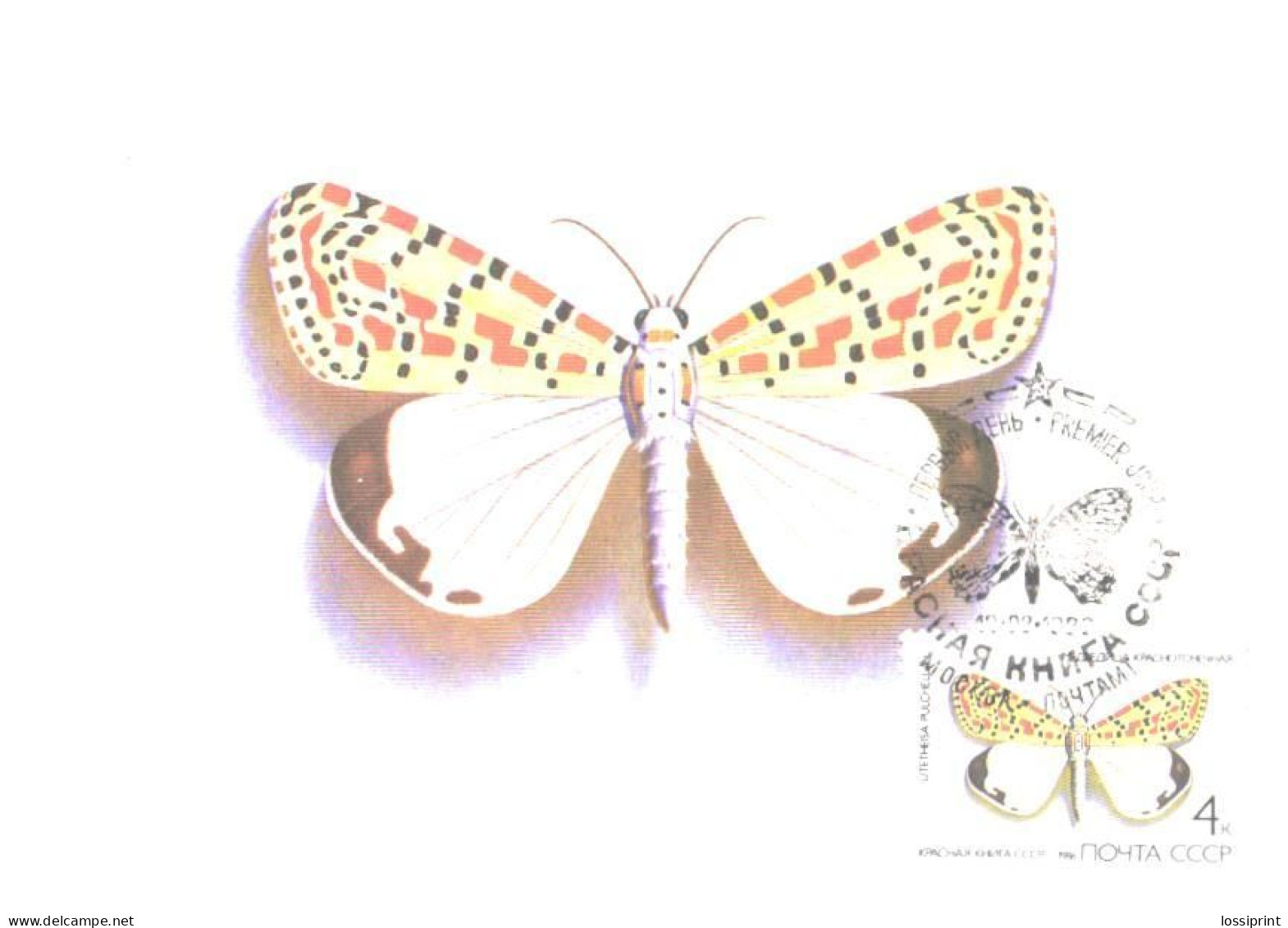 Soviet Union:USSR:Russia:Maxi Card, Butterfly, Utetheisa Pulchella, 1986 - Papillons