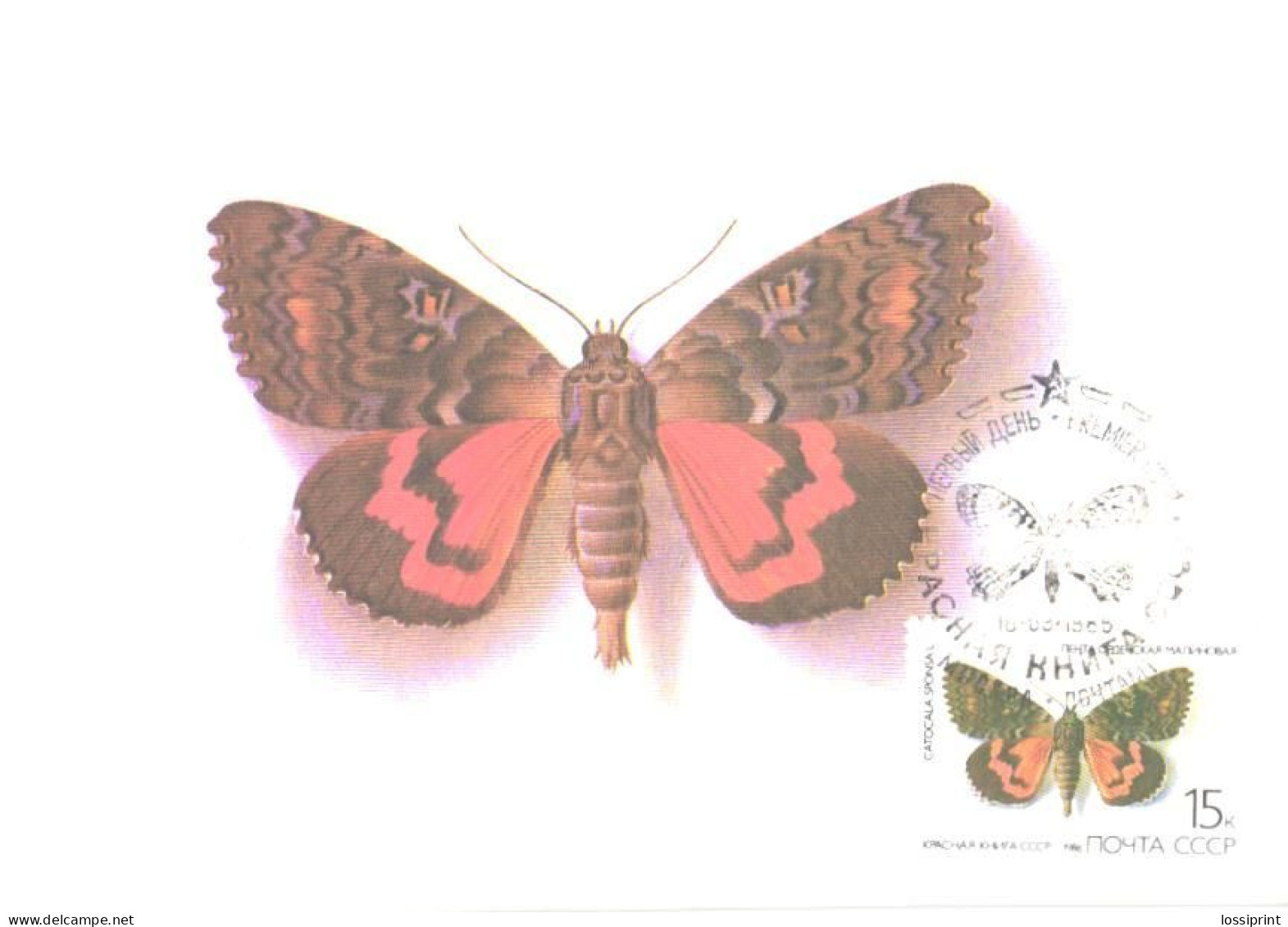 Soviet Union:USSR:Russia:Maxi Card, Butterfly, Catocala Sponsa L., 1986 - Papillons