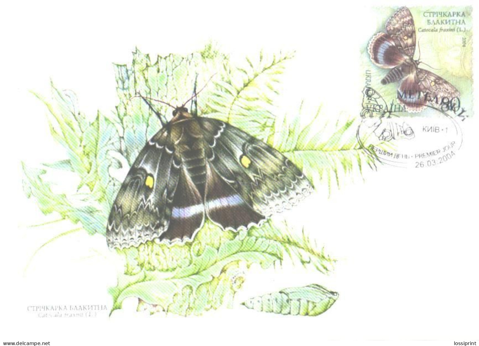 Ukraine:Ukraina:Maxi Card, Butterfly, Catocala Fraxini, 2004 - Papillons
