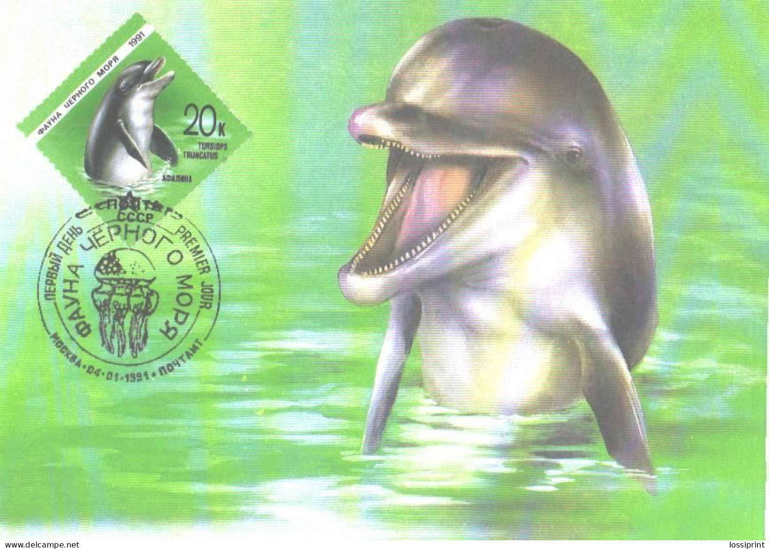 Soviet Union:USSR:Russia:Maxi Card, Dolphin, Tursiops Truncatus, 1991 - Delfines