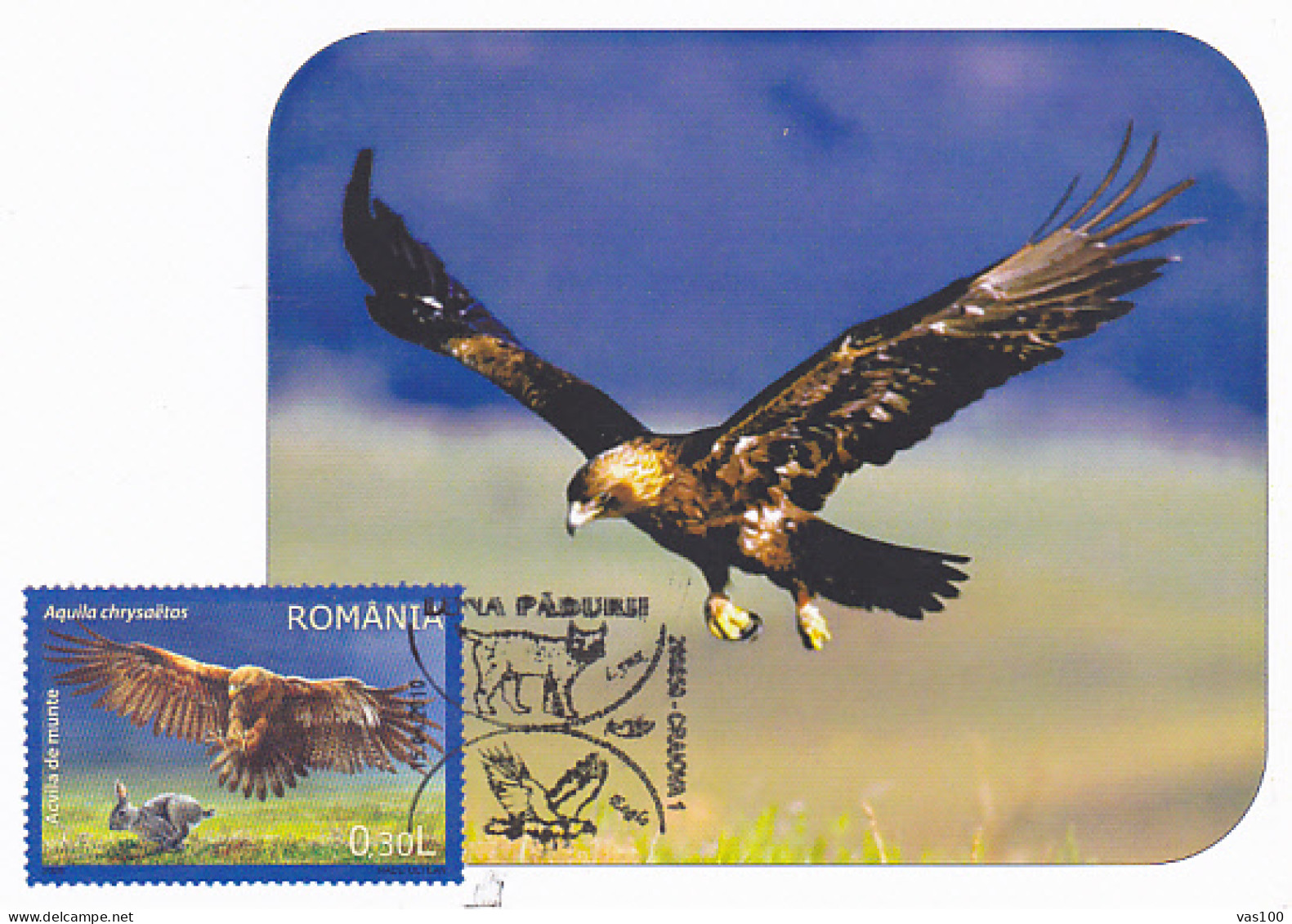 ANIMALS, BIRDS, GOLDEN EAGLE, CM, MAXICARD, CARTES MAXIMUM, 2010, ROMANIA - Aigles & Rapaces Diurnes