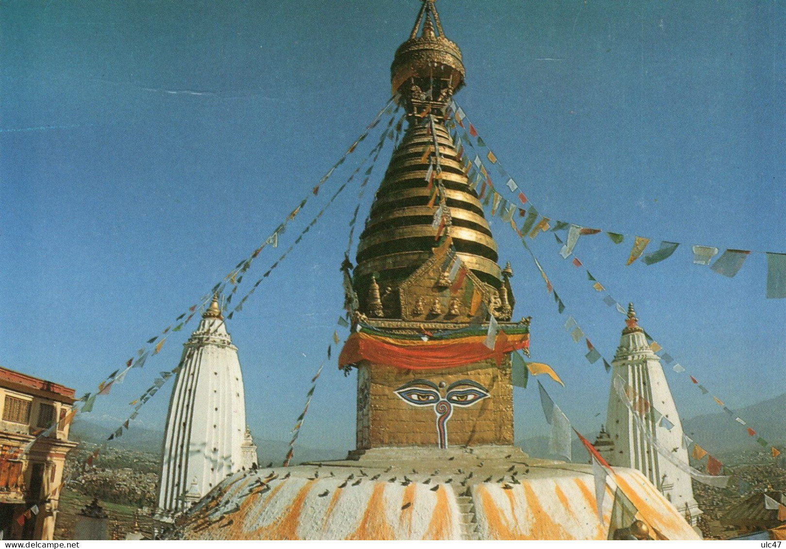 - Swoyamblunath Stupa.  - Scan Verso - - Népal