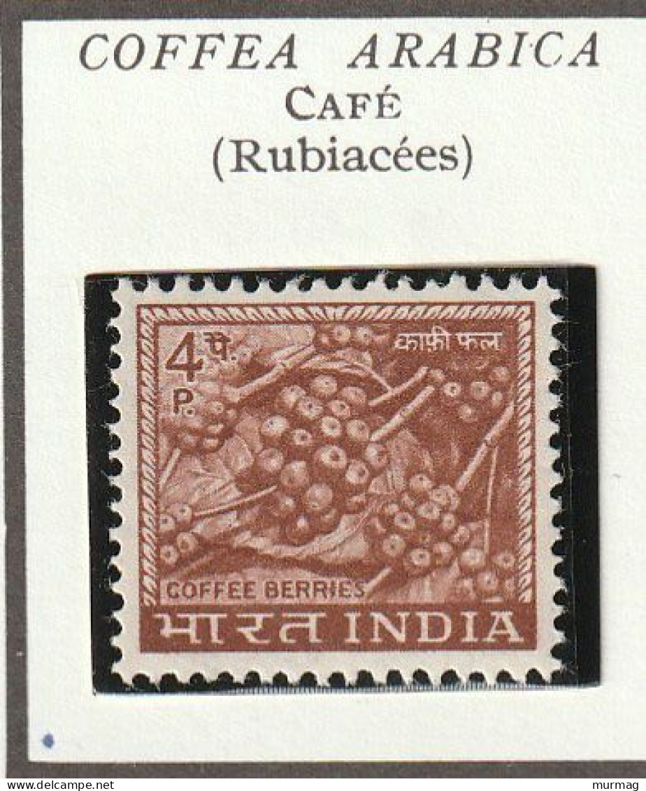 INDE - Café - Y&T N° 222 - 1967-1969 - MNH - Nuovi